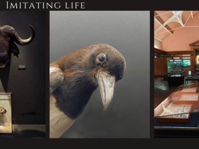 A Very Natural History Exhibition