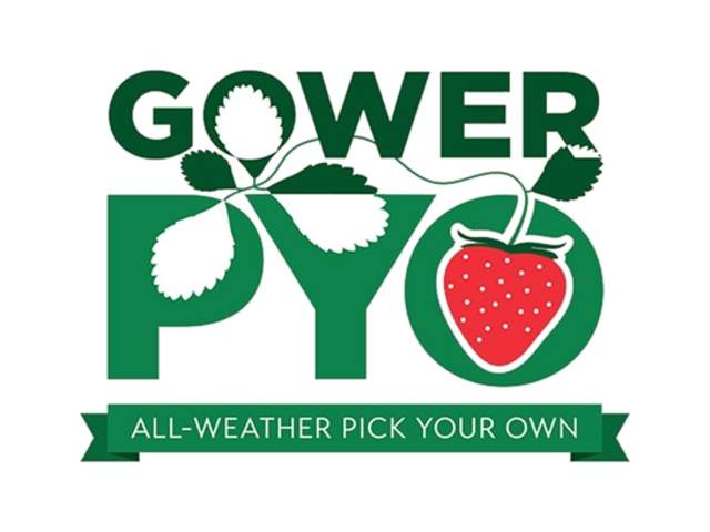 Gower Pick Your Own
