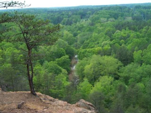 Occoneechee Mountain State Natural Area