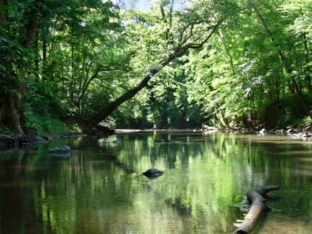 Eno River State Park