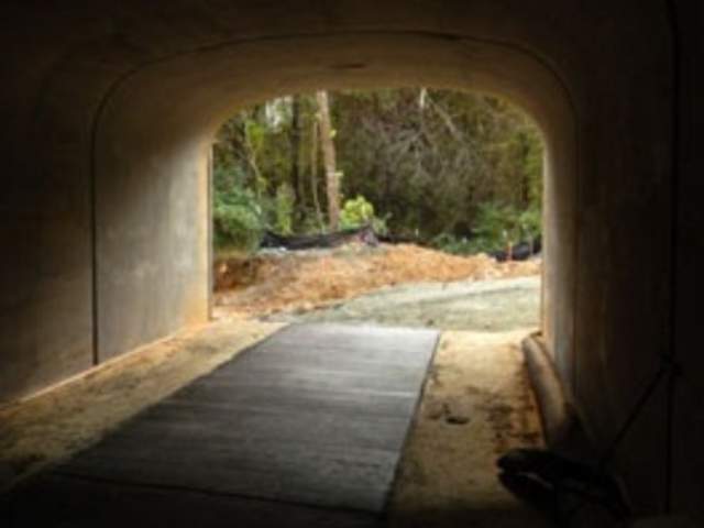 Morgan Creek Trail