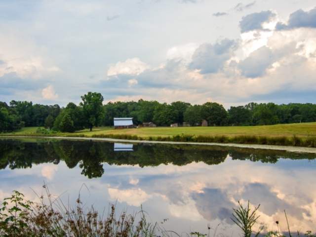 Blackwood Farm Park