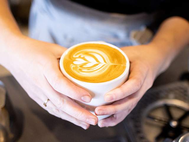 Gray Squirrel Coffee Co.