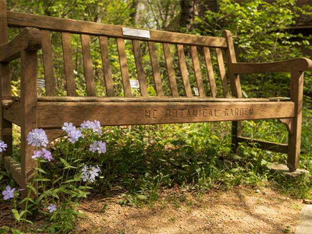 North Carolina Botanical Garden