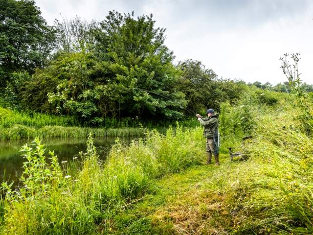 Trout Lake - Fly Fishing