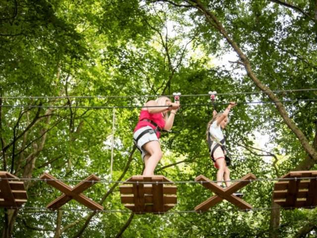 Go Ape Normanby Hall