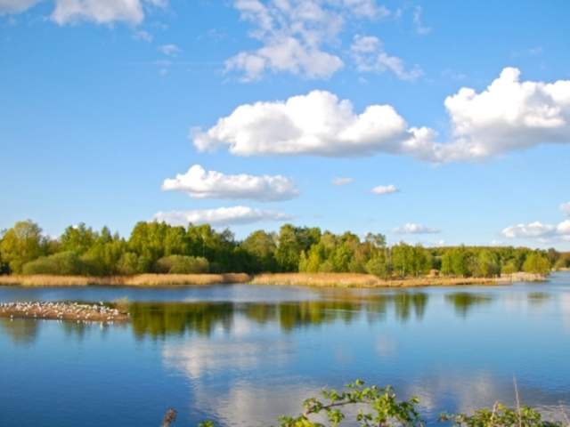 Whisby Nature Park