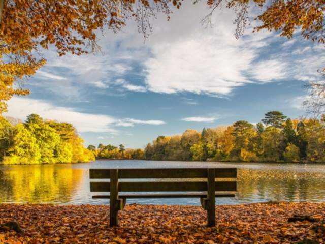 Hartsholme Country Park