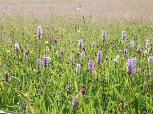 Cotton Dell Nature Reserve