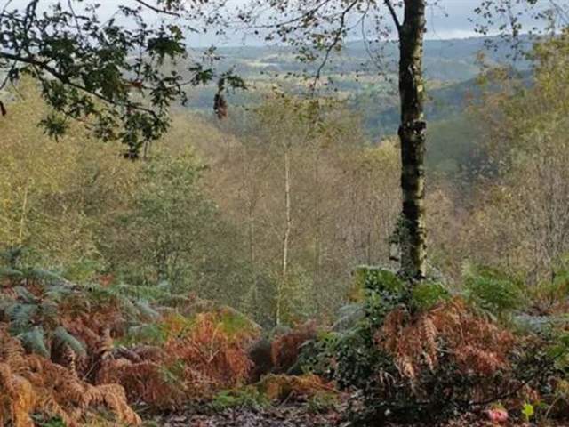 Hawksmoor Nature Reserve
