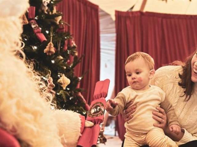 Santa's Grotto at Peak Wildlife Park