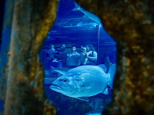 Bristol Aquarium