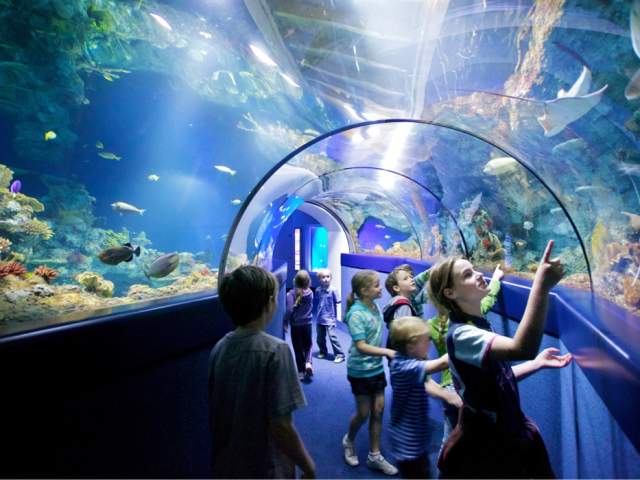 Bristol Aquarium