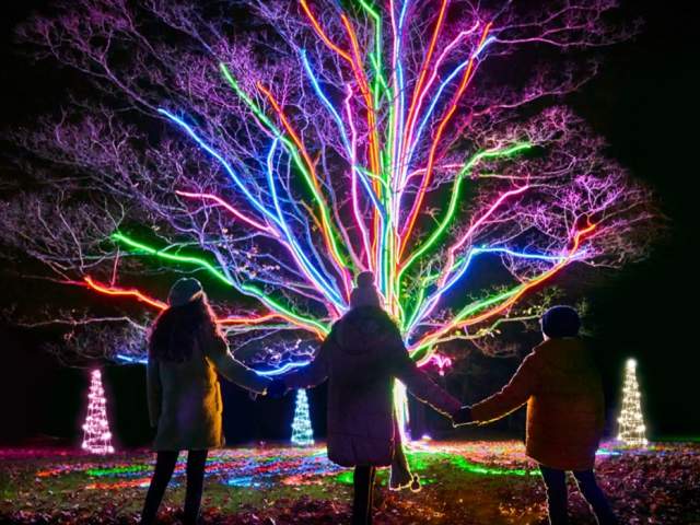 Christmas at Westonbirt Arboretum