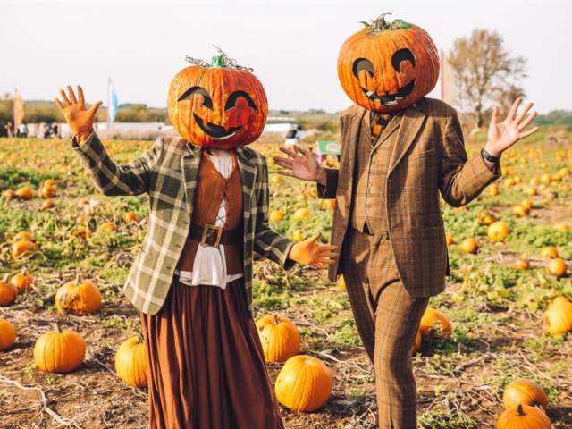Pumpkin Patch at Avon Valley Adventure & Wildlife Park