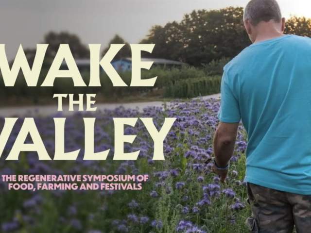 Wake the Valley