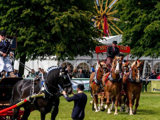 The Royal Bath & West Show