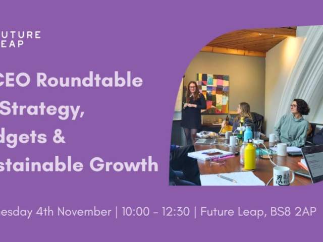 A CEO Roundtable on Strategy, Budgets and Sustainable Growth