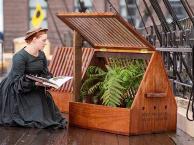 Plants crossing continents at Brunel’s SS Great Britain