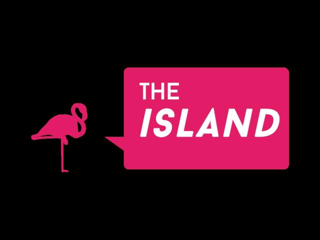 Voices of DIASPORA! Launch Party at The Island