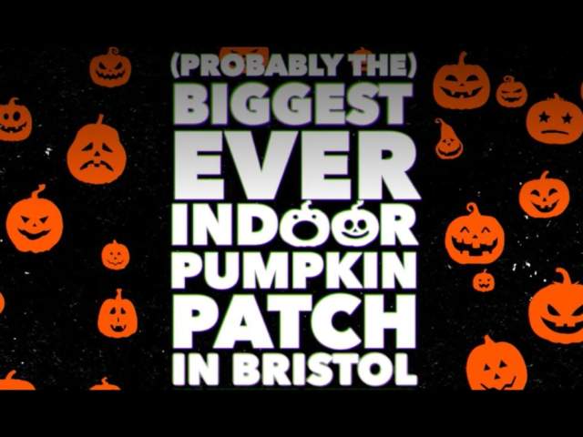 (Probably) Bristol’s Biggest Indoor Pumpkin Patch at Cabot Circus