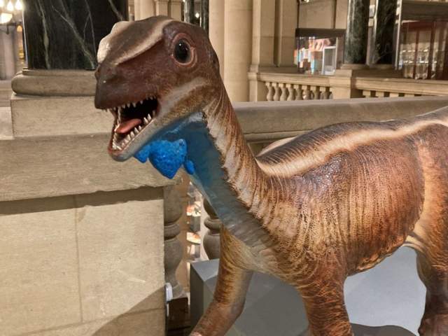 Bristol's Dinosaurs Tour at Bristol Museum & Art Gallery