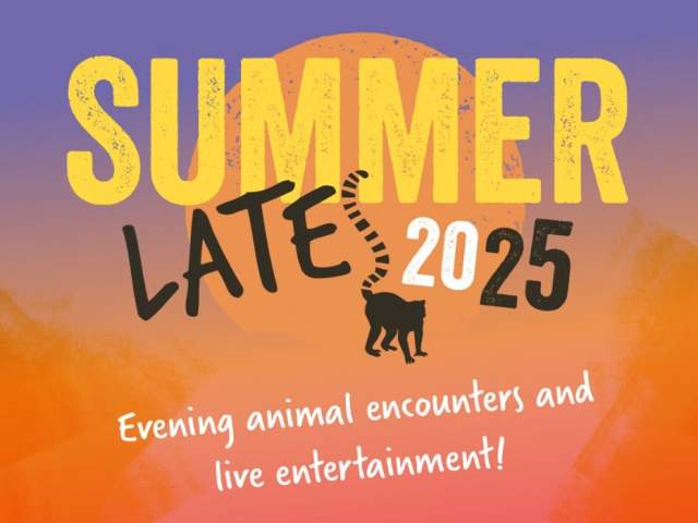 Summer Lates at Bristol Zoo Project