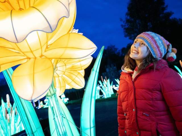 The Festival of Light at Longleat