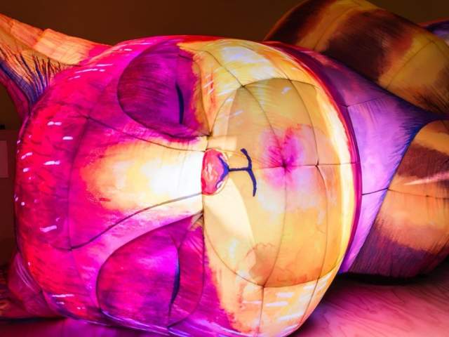 Bristol Light Festival