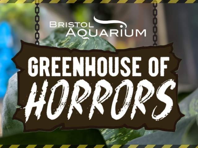 Greenhouse of Horrors at Bristol Aquarium