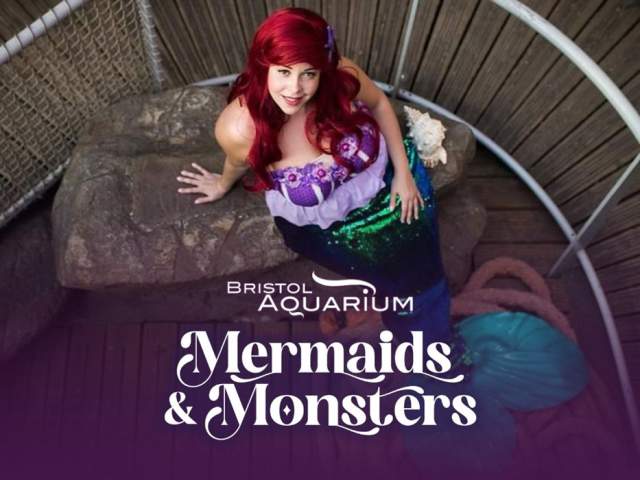 Mermaids and Monsters at Bristol Aquarium