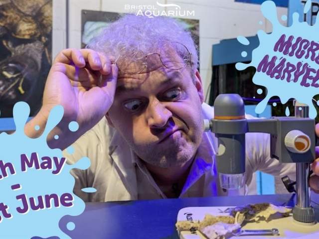 Micro Marvels at Bristol Aquarium