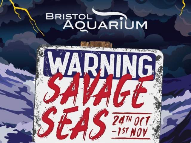 Savage Seas at Bristol Aquarium