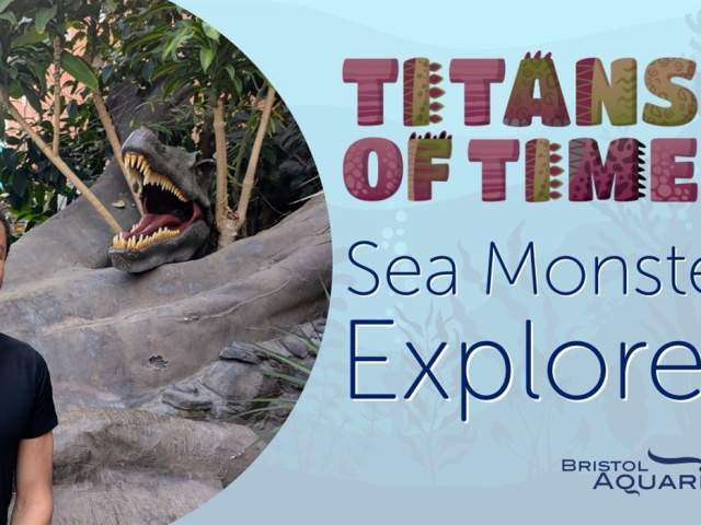 Titans of Time: Sea monsters Explored at Bristol Aquarium