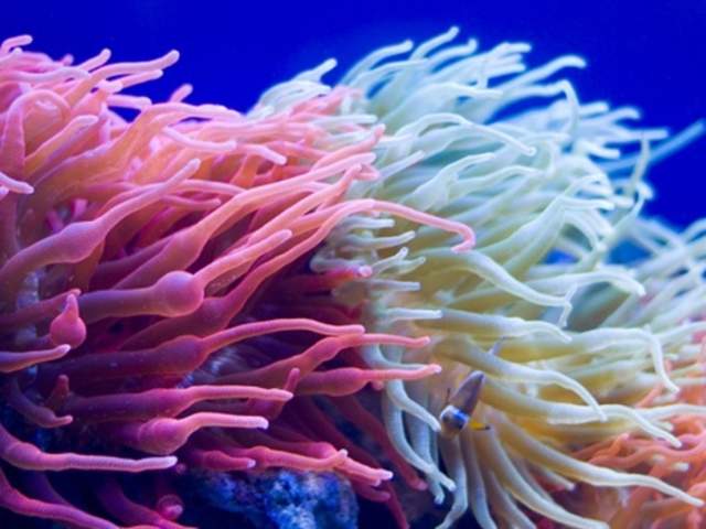 Even Calmer Days at Bristol Aquarium
