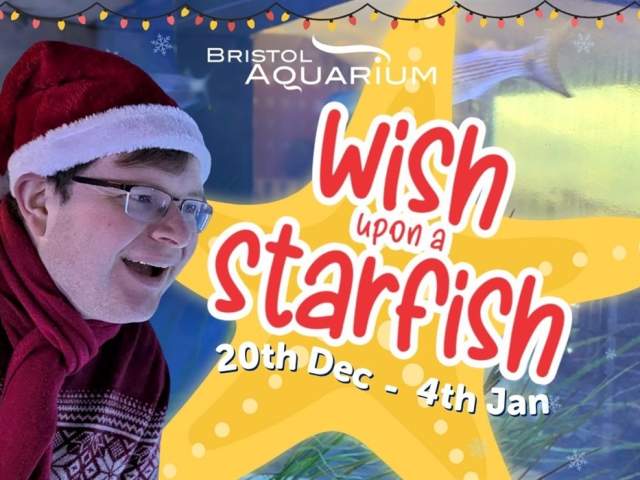 Wish Upon A Starfish at Bristol Aquarium