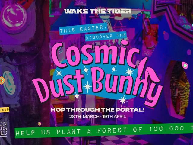 Cosmic Dust Bunny at Wake The Tiger