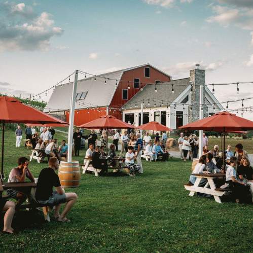 Catoctin Breeze Vineyard