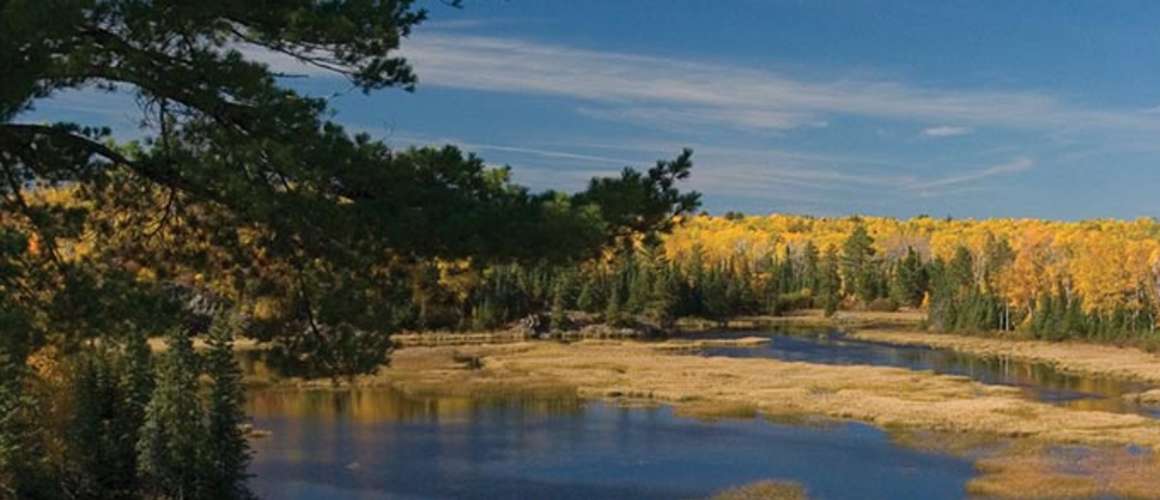 Rookie Pond in Fall