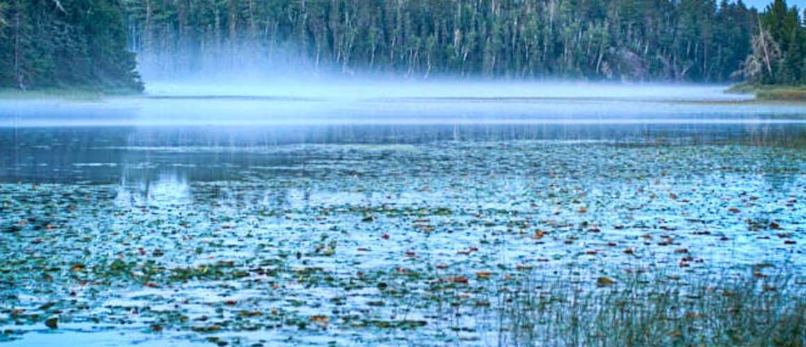 Blue misty canoe