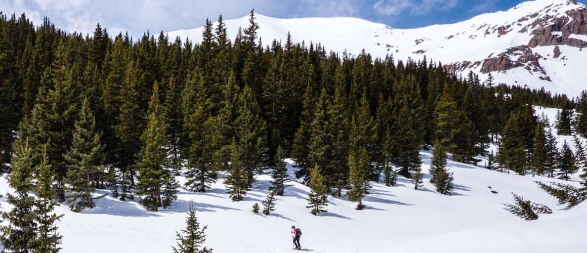 Graham Gulch Snowshoeing