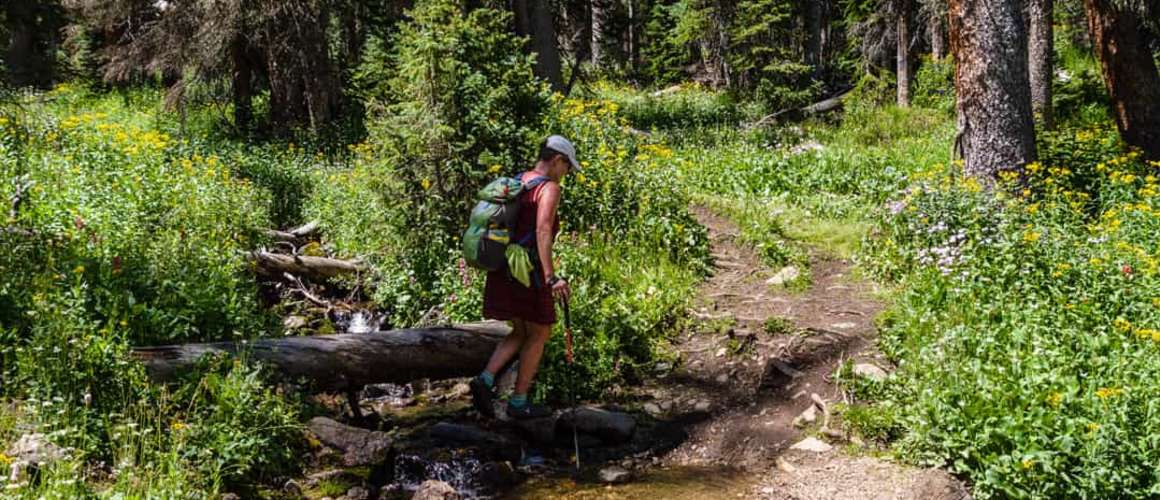 Fooses Creek - Colorado Trail