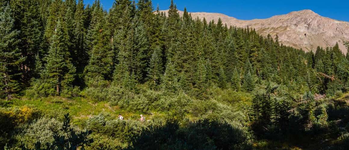 Graham Gulch