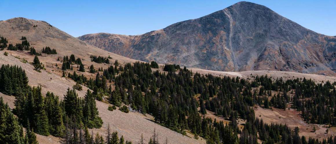 Monarch Crest Trail North: CDT to Boss Lake