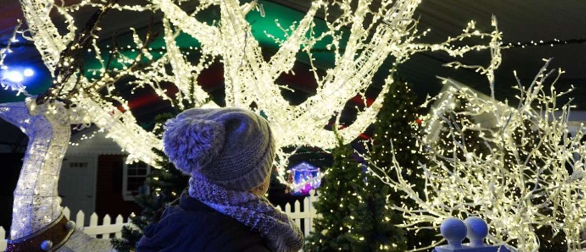 Winterfest/Holidays