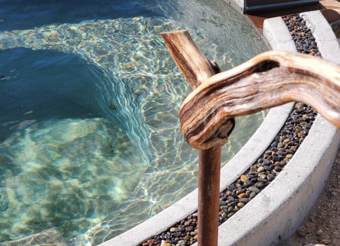 Summer in the Oasis - Complimentary Enhancement | Azure Palm ...
