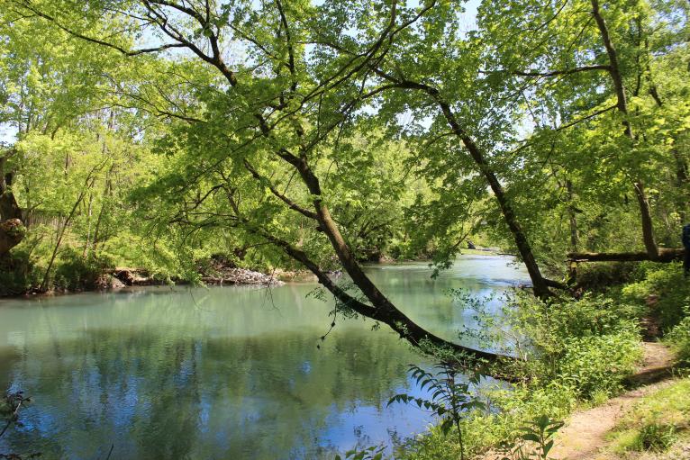 Robert Clark Park