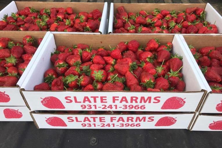 Slate Strawberry Farm