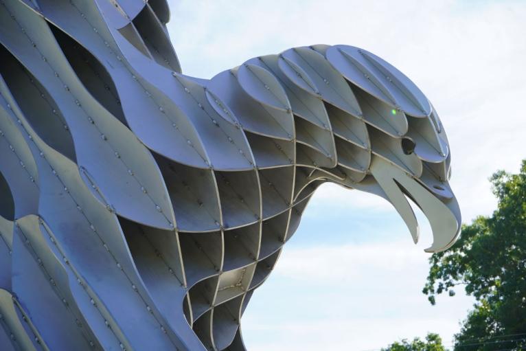 thumbnail_Eagle head close up.jpg