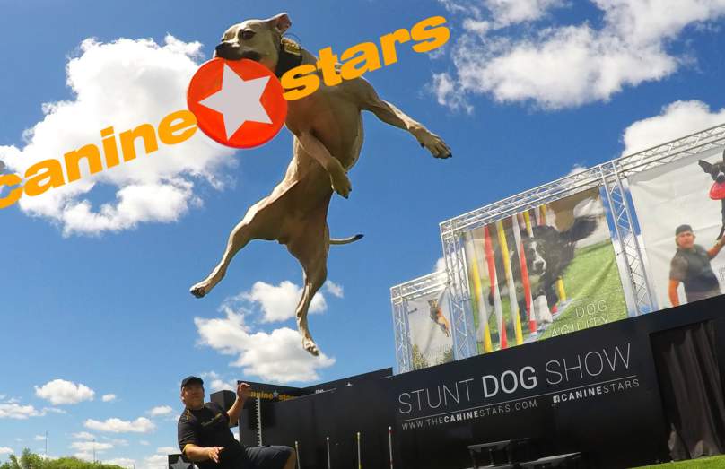 THE CANINE STARS STUNT DOG SHOW